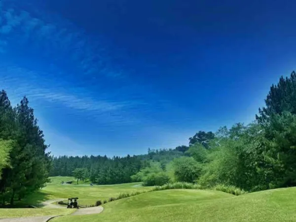 Citra Mansion Golf Residence - Modern Luxury 8